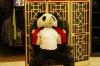 panda1
